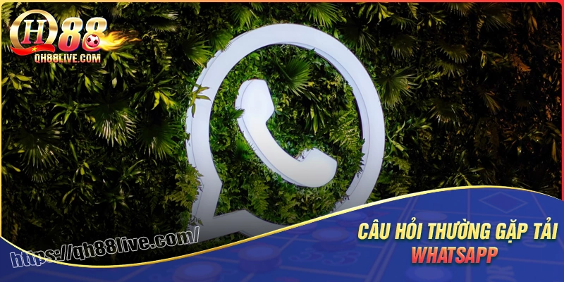 Câu hỏi thường gặp khi dùng ứng dụng whatsapp